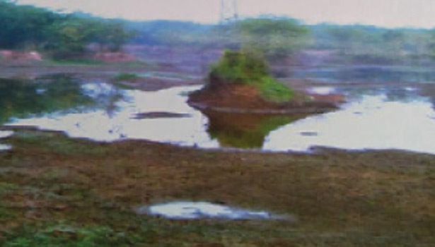 Tamil-News-The-lake-should-be-declared-a-bird-sanctuary